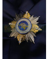 Нагрудний знак "Зірка подяки Національної Поліції" (07655)
