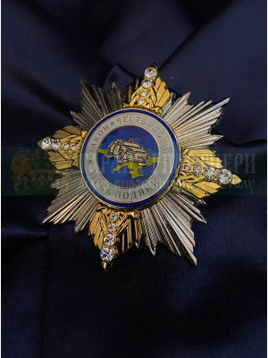 Нагрудний знак "Зірка подяки Національної Поліції" (07655)