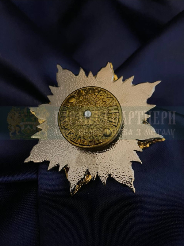 Нагрудний знак "Зірка подяки Національної Поліції" (07655)