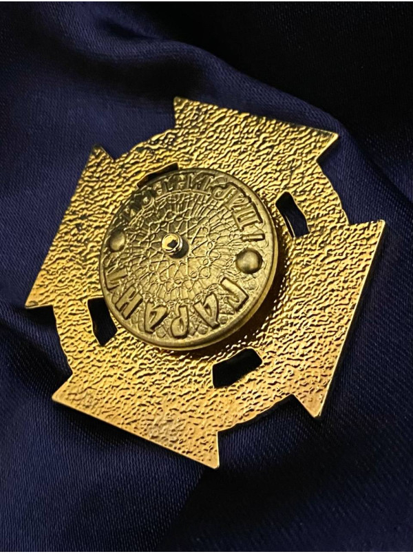 Нагрудний знак «Відмінник навчання» ДСНС_НУЦЗ І ступеня_45мм (38902)
