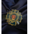 Нагрудний знак "Вінницький ліцей"_50х50 мм (40272) 
