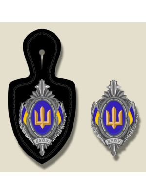 Нагрудний знак випускника НУОУ з пірначем срібний_оперативний рівень_58мм (38735)