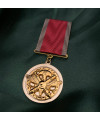 Нагрудний знак «За службу» 32 мм (19037)