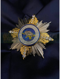 Нагрудний знак «Зірка подяки патрульної поліції» (07655)