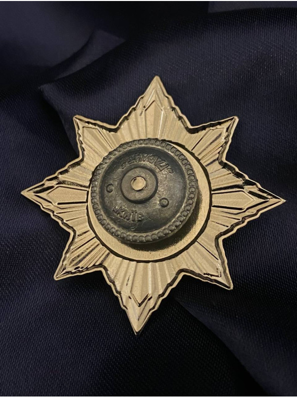 Нагрудний знак_ДПСУ 