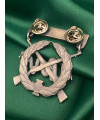 Нагрудний знак_Степовик (61 Обр)_42х40мм (39570)