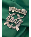 Нагрудний знак_Степовик (61 Обр)_42х40мм (39570)