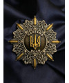 Орден_Залізна воля_60мм (41288)