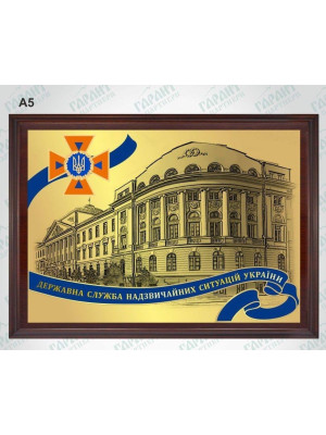 Плакетка А5 ДСНС з будівлею (36443)