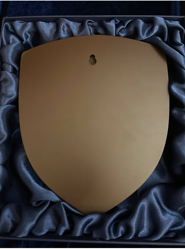 Щиток ГУНП Житомирська область_168*198мм (41478)