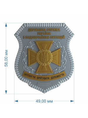 Жетон ДСНС_ 49х58х2 мм (36060)