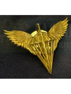 Значок ДШВ_25х22 мм (24794)