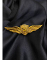 Знак класності 95 ОДШБр 1 степінь «Крила відважних»_19х75мм (36841)