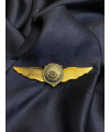 Знак класності 95 ОДШБр 1 степінь «Крила відважних»_19х75мм (36841)