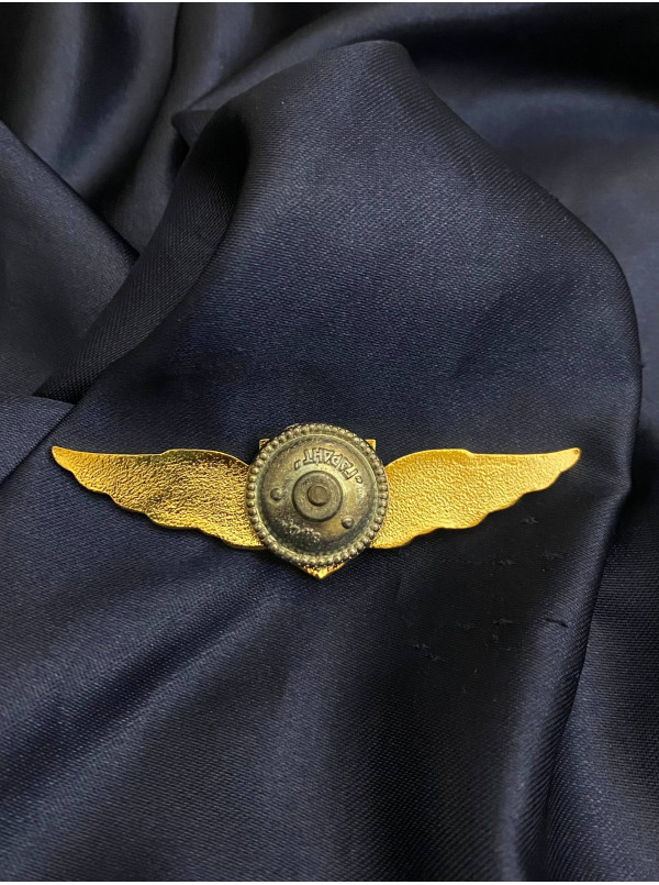 Знак класності 95 ОДШБр 1 степінь «Крила відважних»_19х75мм (36841)