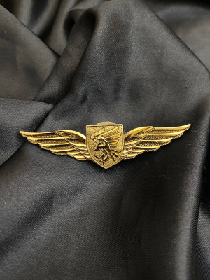 Знак класності 95 ОДШБр 2 степінь «Крила відважних» 19х75мм (36842)