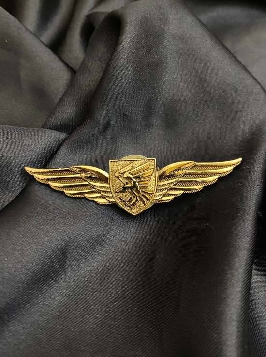 Знак класності 95 ОДШБр 2 степінь «Крила відважних» 19х75мм (36842)